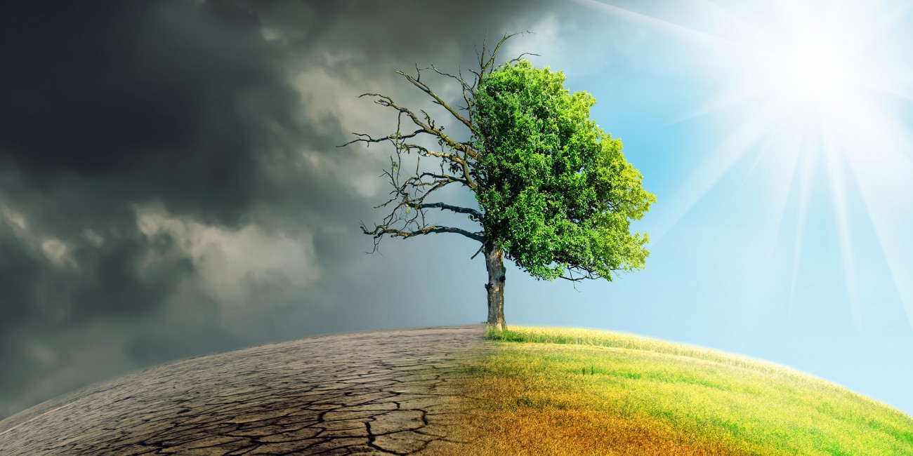 Climate change through the seasons